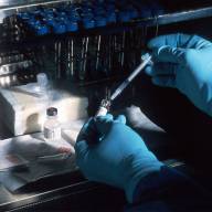 Canada sharpens Express Entry focus to attract high-impact talent in 2026